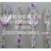 氣染紙，印花紙，包花紙，水貼紙，園林工具印花紙，五金印花紙