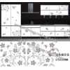 水轉(zhuǎn)印，家具水轉(zhuǎn)印，家具水移畫