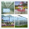 【ZUIHAODE三色堇】三色堇種植基地在哪里？