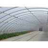 河北溫室大棚施工，春秋用大棚建造，自動化溫室大棚施工【快速get】華亮