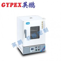 惠州化工廠干燥箱，立式電熱鼓風干燥箱