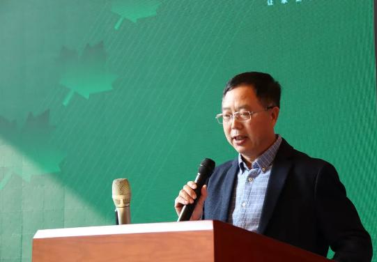 1575425713155385.jpg 1575425713155385.jpg